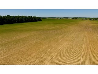 Property photo 11 - LAND AUCTION - 472+/- ACRES IN 7 TRACTS IN GRANT COUNTY, INDIANA